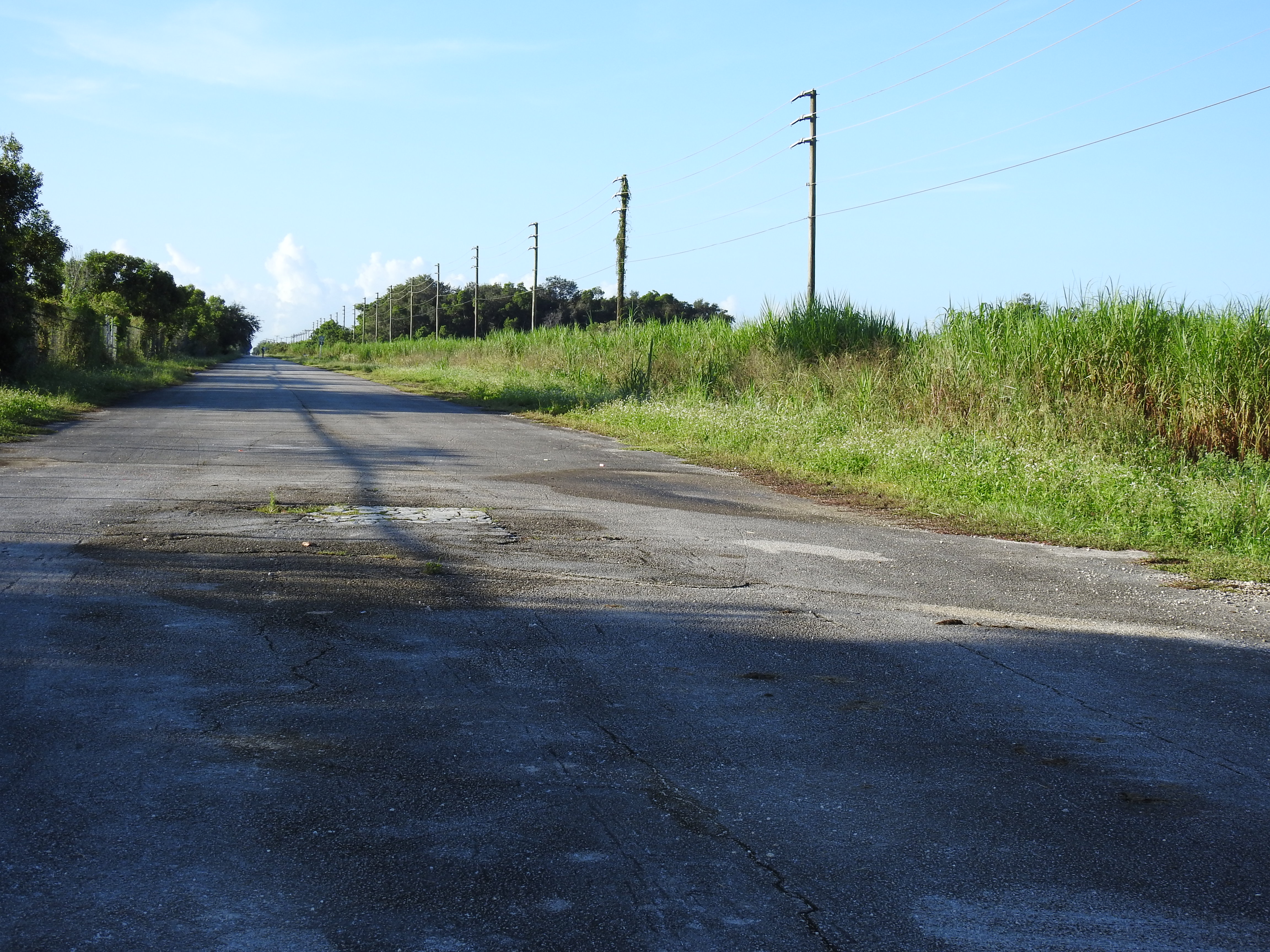 Road
