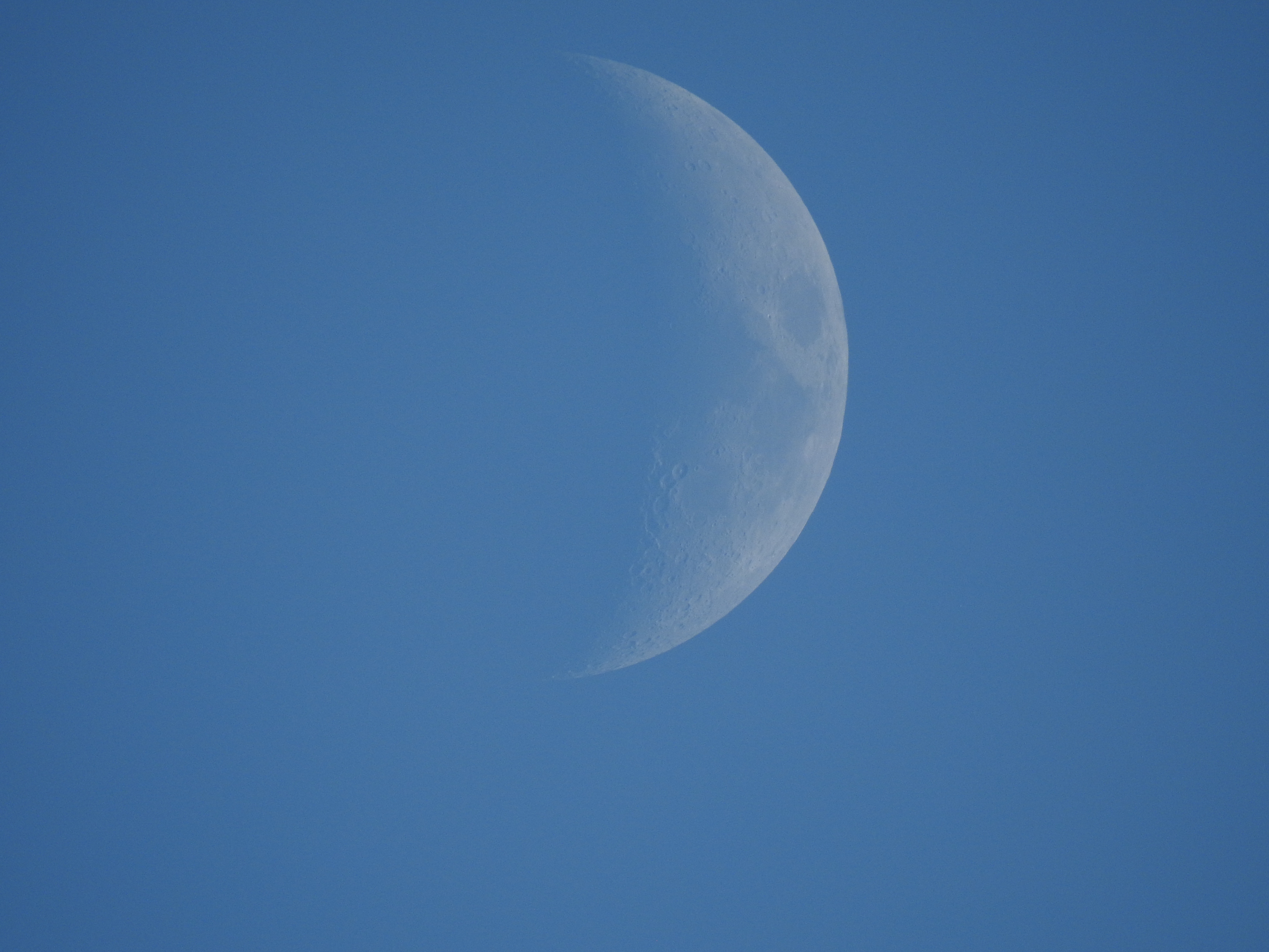 The moon