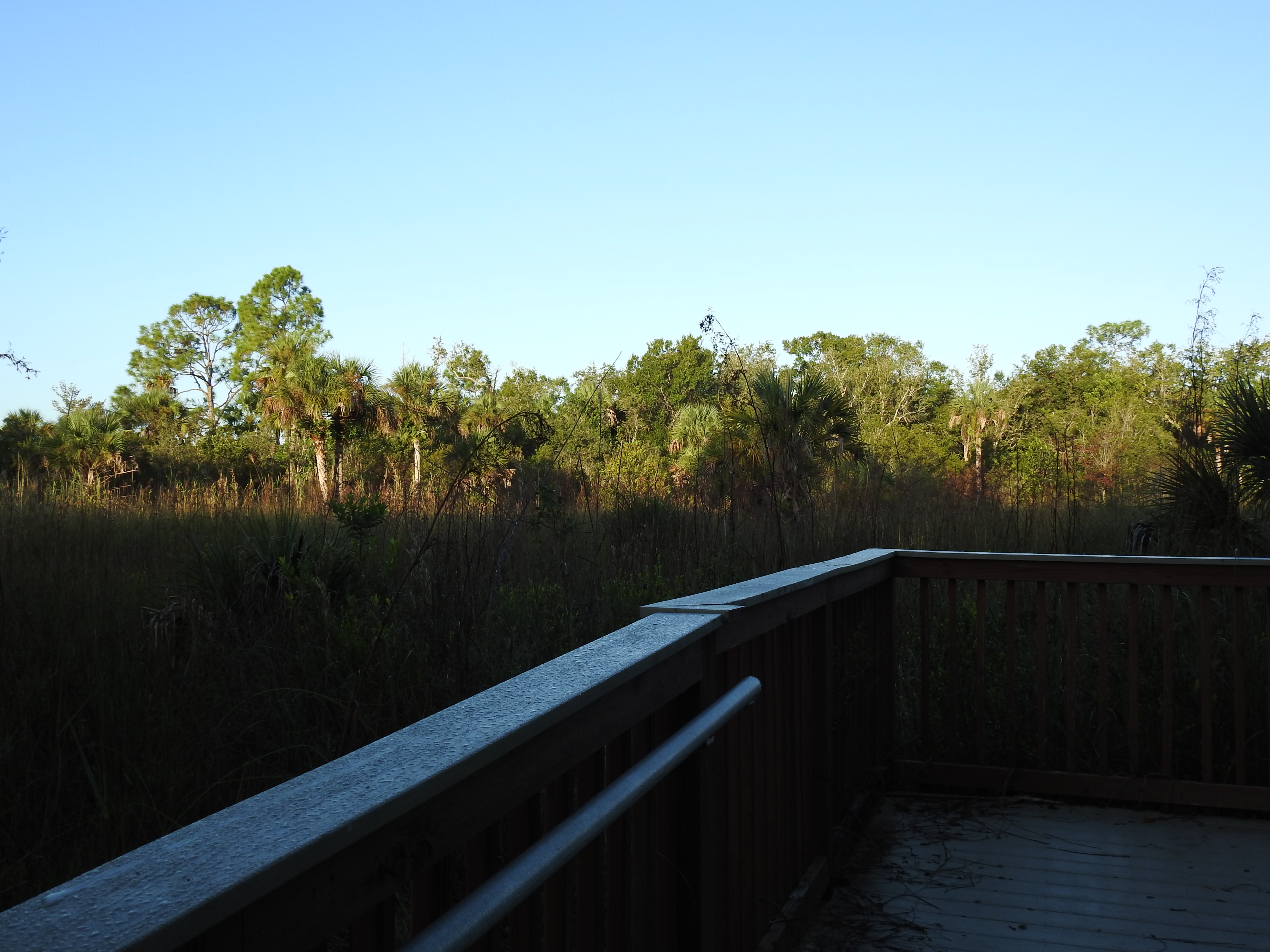 Birding balcony